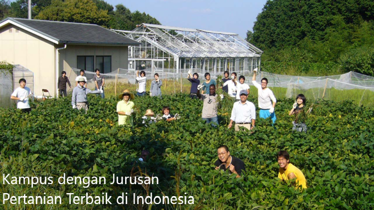 5 Deretan Kampus dengan Jurusan Pertanian Terbaik di Indonesia Terbaru 2023